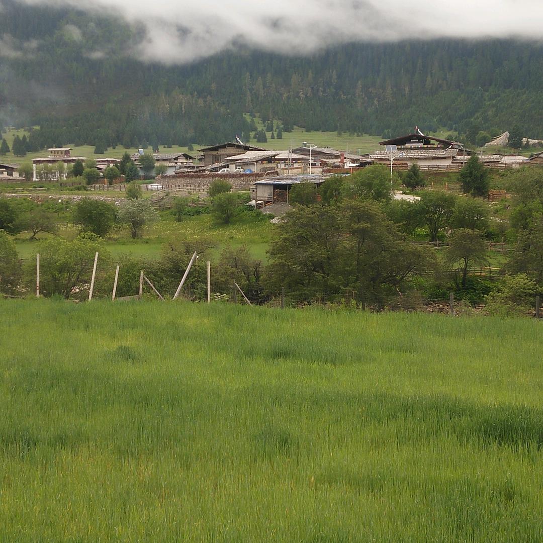 平安健康@
