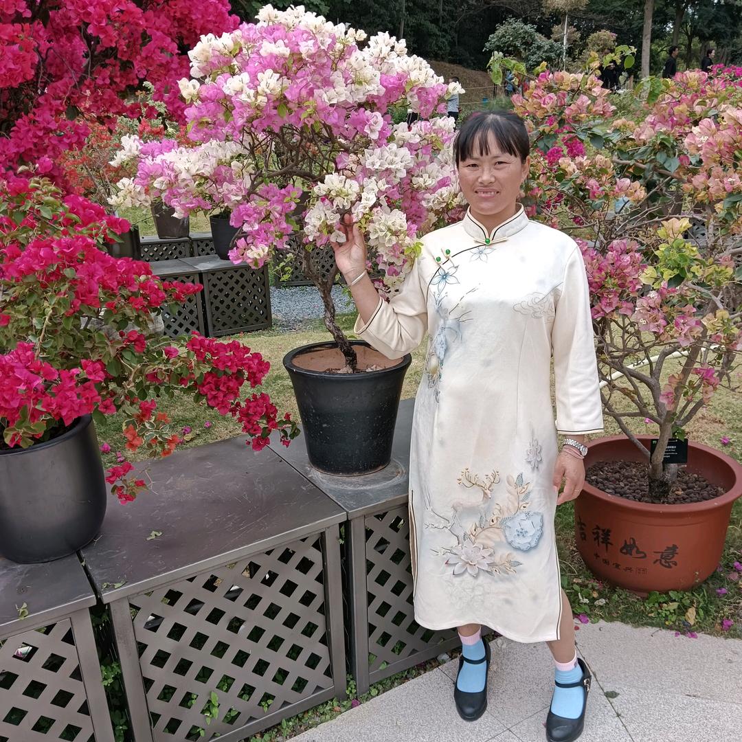 缘梦人