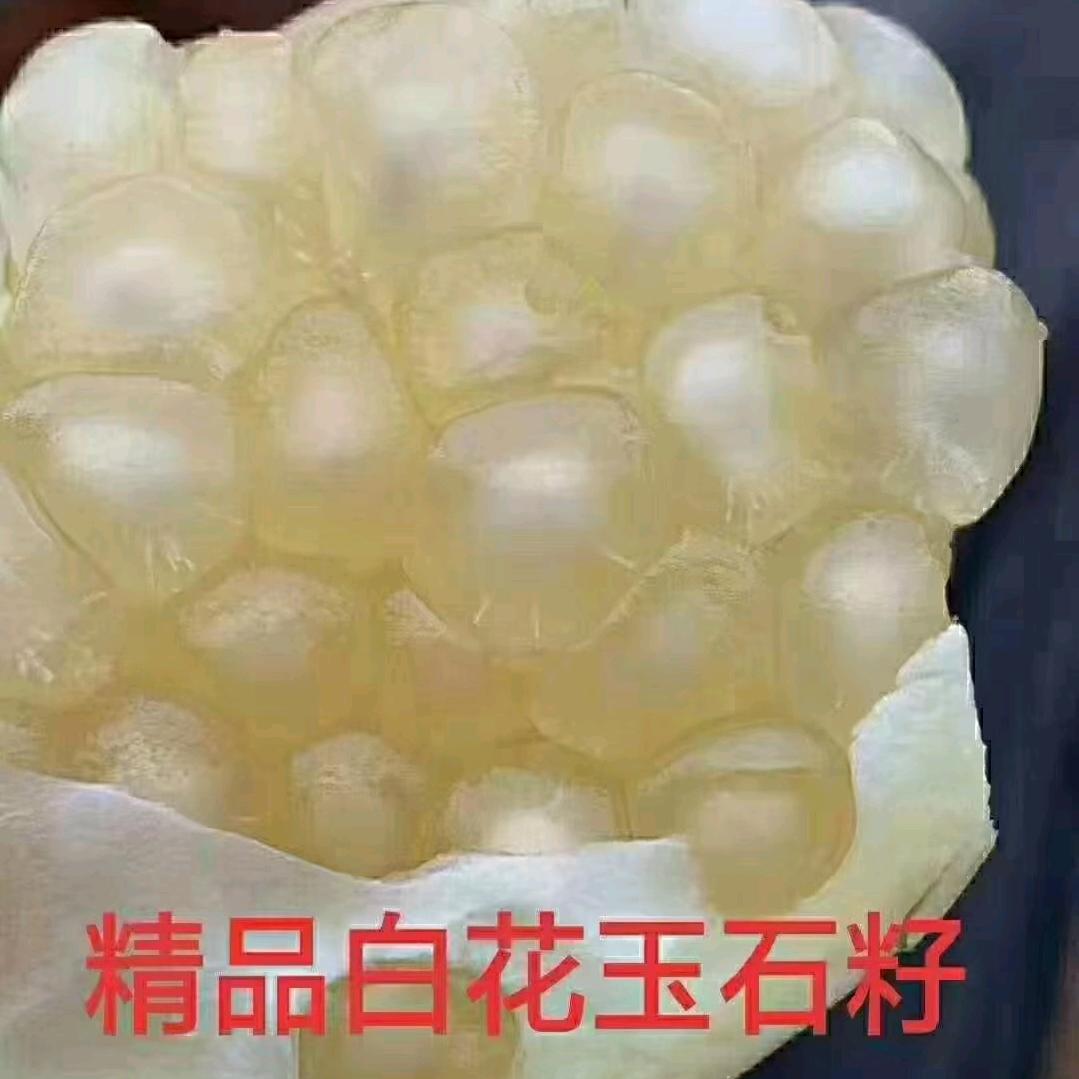 一陆有你！石榴，石榴酒.陆姐