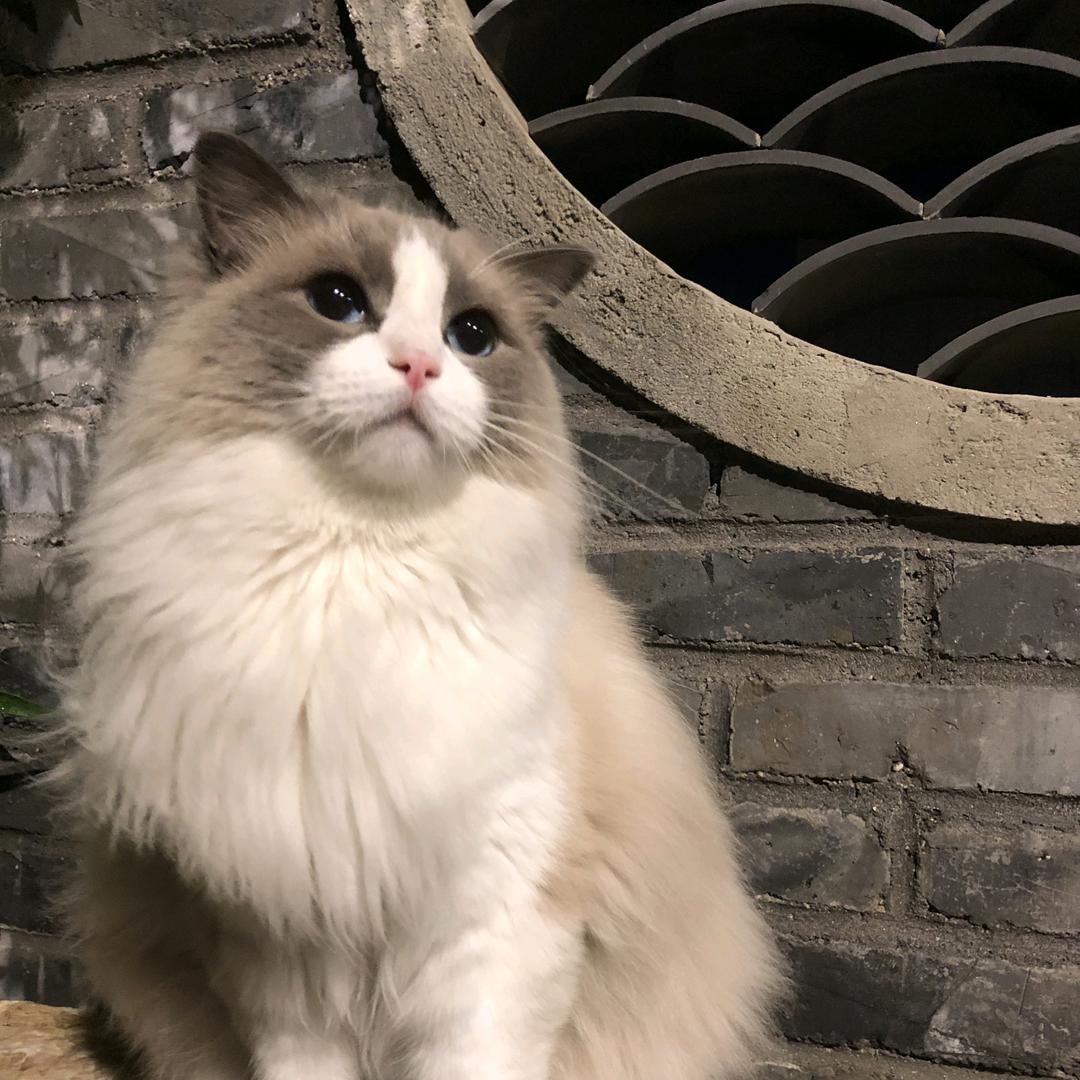 态度