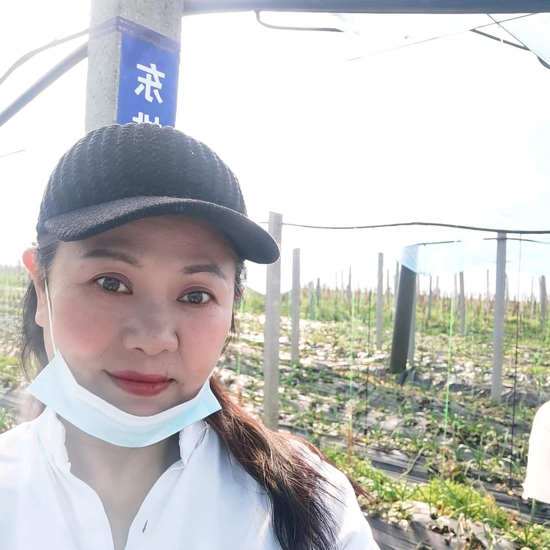 泗阳大棚姐