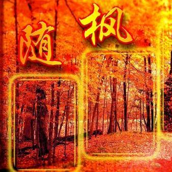 落叶随枫头像