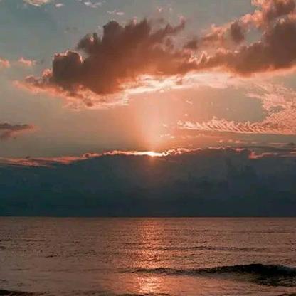 福鼎点头沁茗香茶叶@抖音