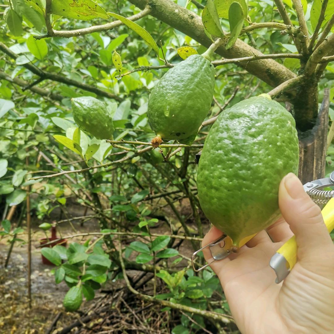 @知足常乐～邓～梅