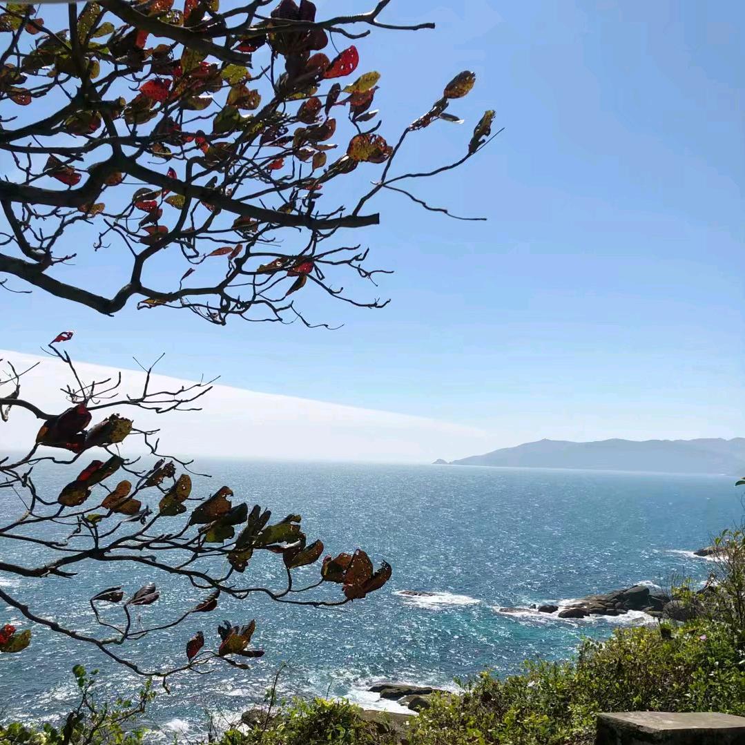 山澜