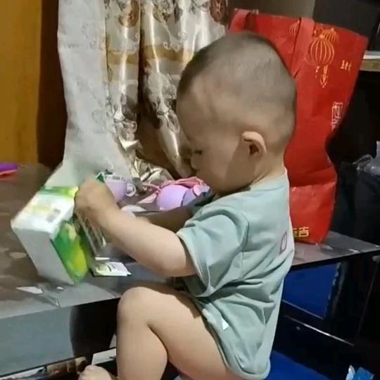 李菠蘿