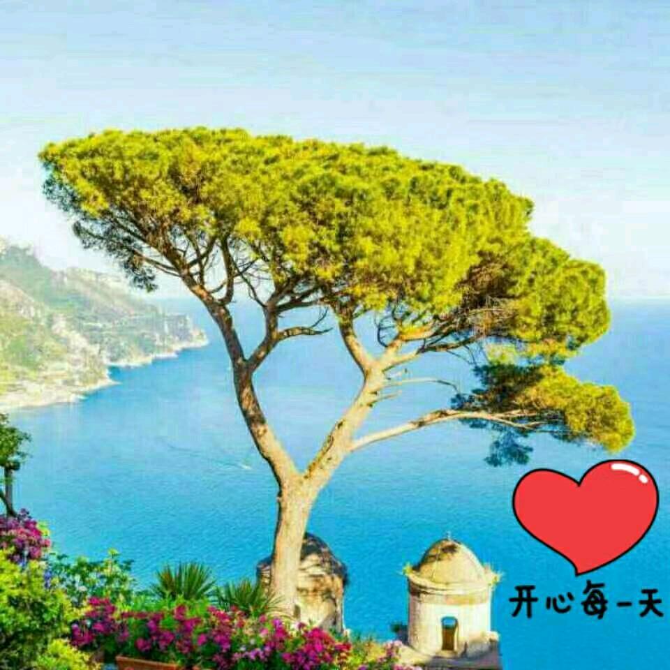 无言的祝福