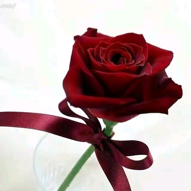 心想事成水暖安装《谢绝连赞》