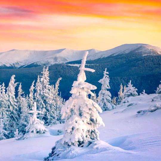 刘百万，管鑫塑料厂，销售管芯，销售随车抓