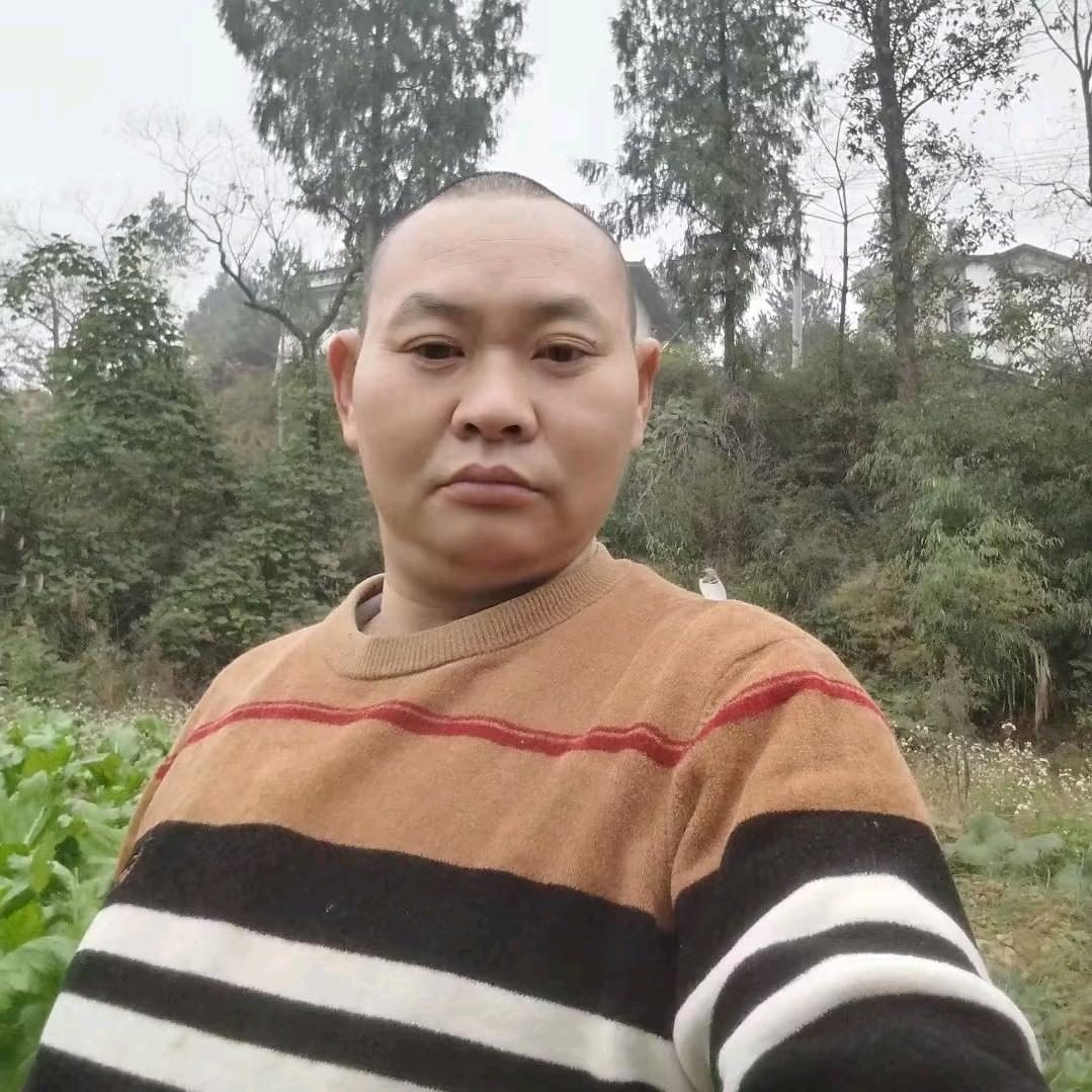 海哥听音乐