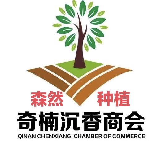 森然苗木种植
