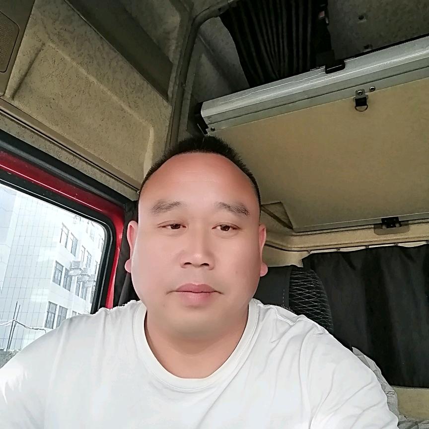 风雨中的玫瑰