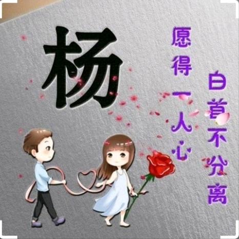 @杨公子