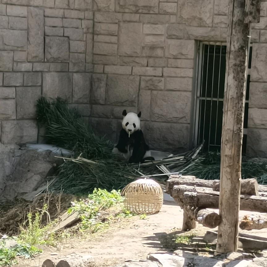 李秀秀
