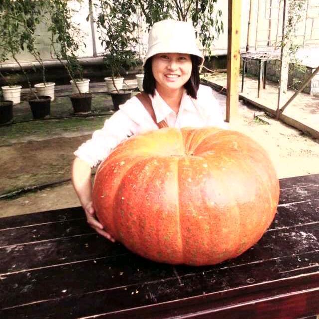 睛彩护眼