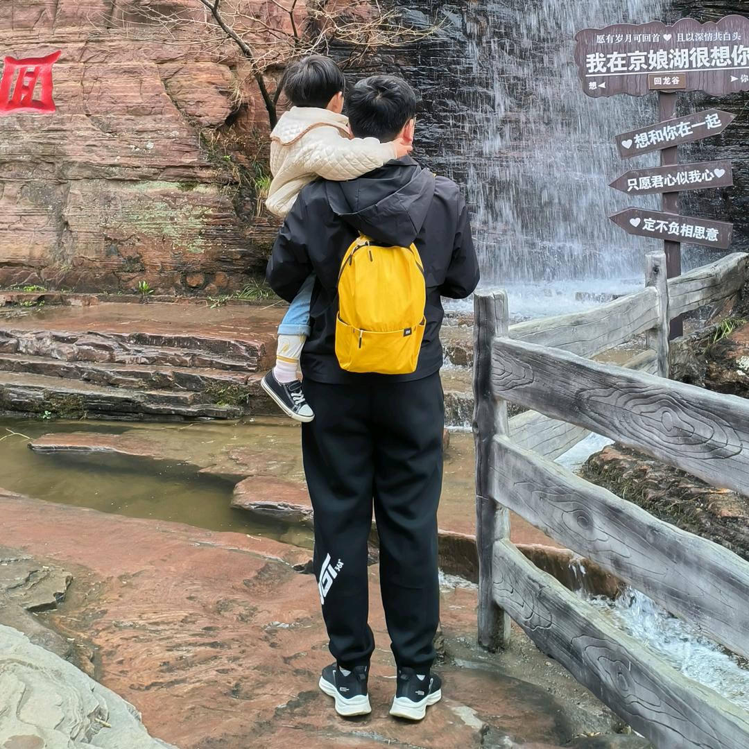 飞翔的胖企鹅