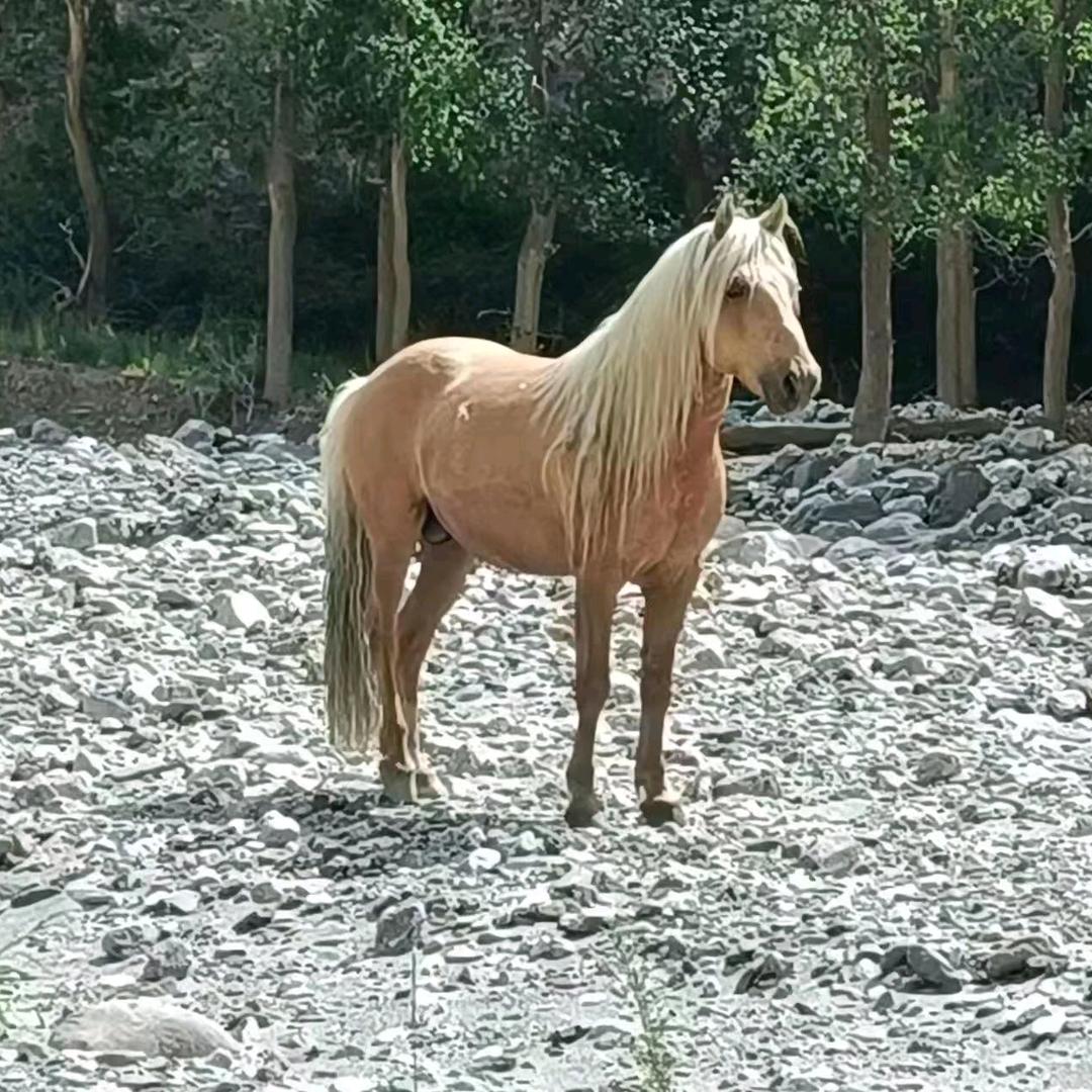 💘为了子己💘