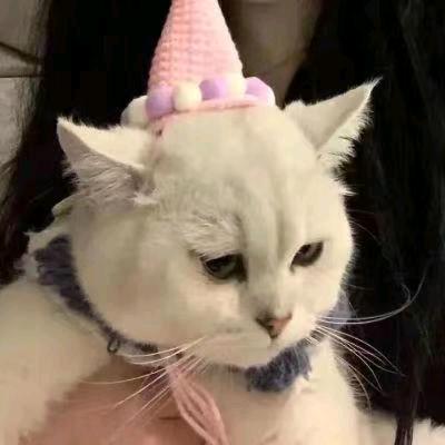送你一朵小红花
