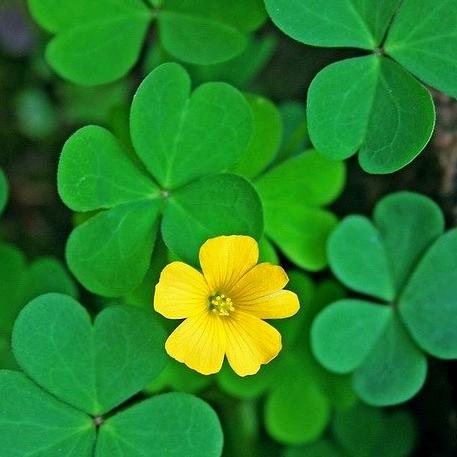 向暖🍀