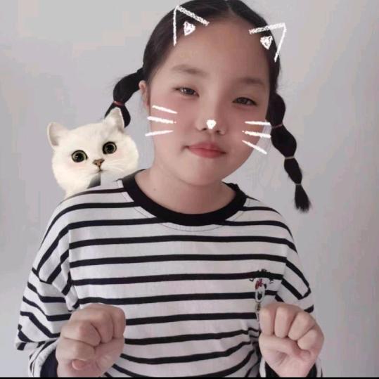 圆梦1