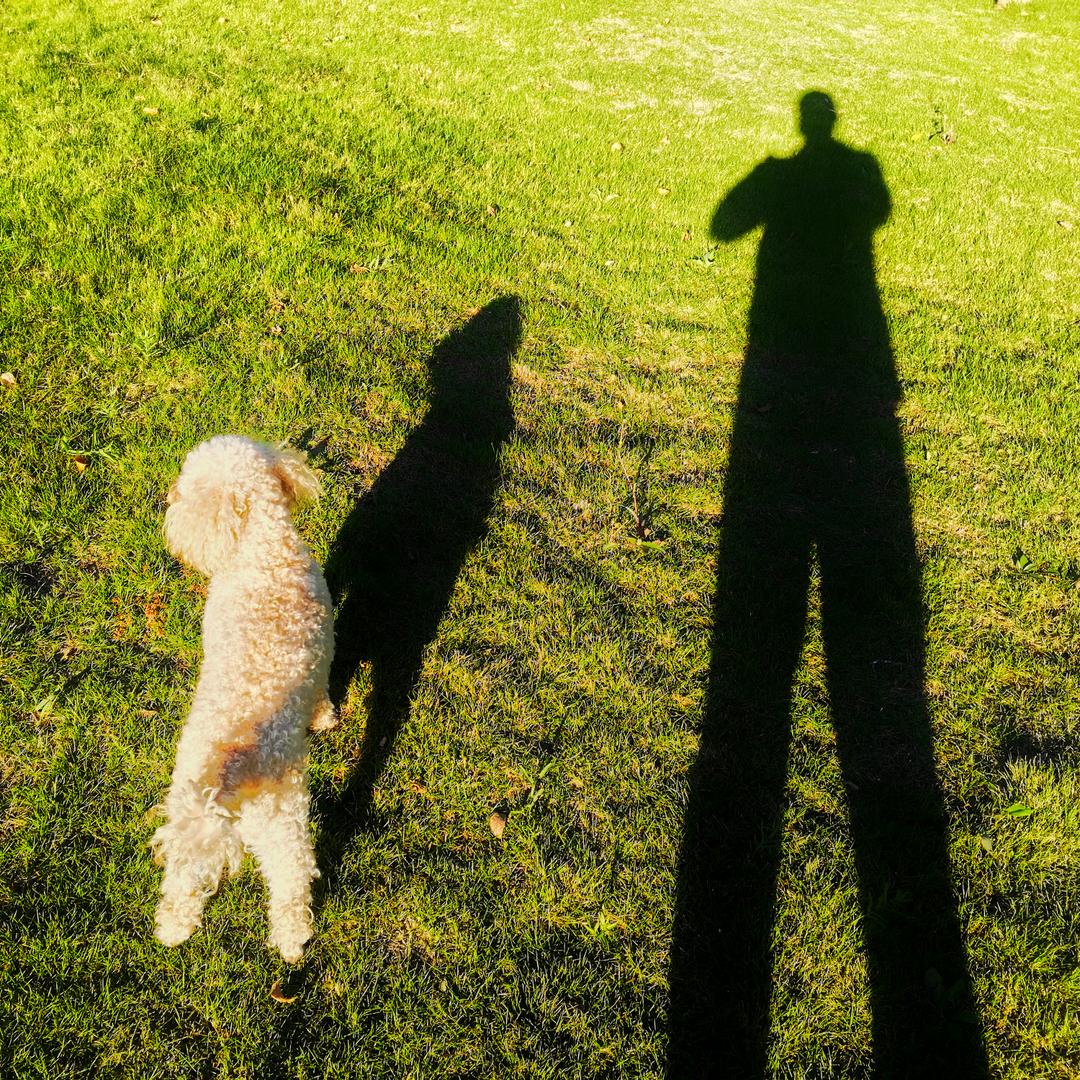 潮水·摄影（📸约拍）