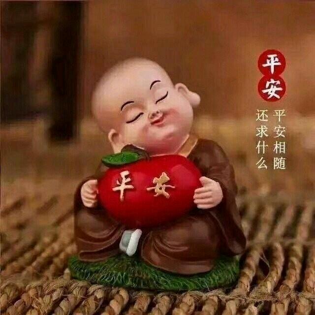 🍀 百卉含英🌹