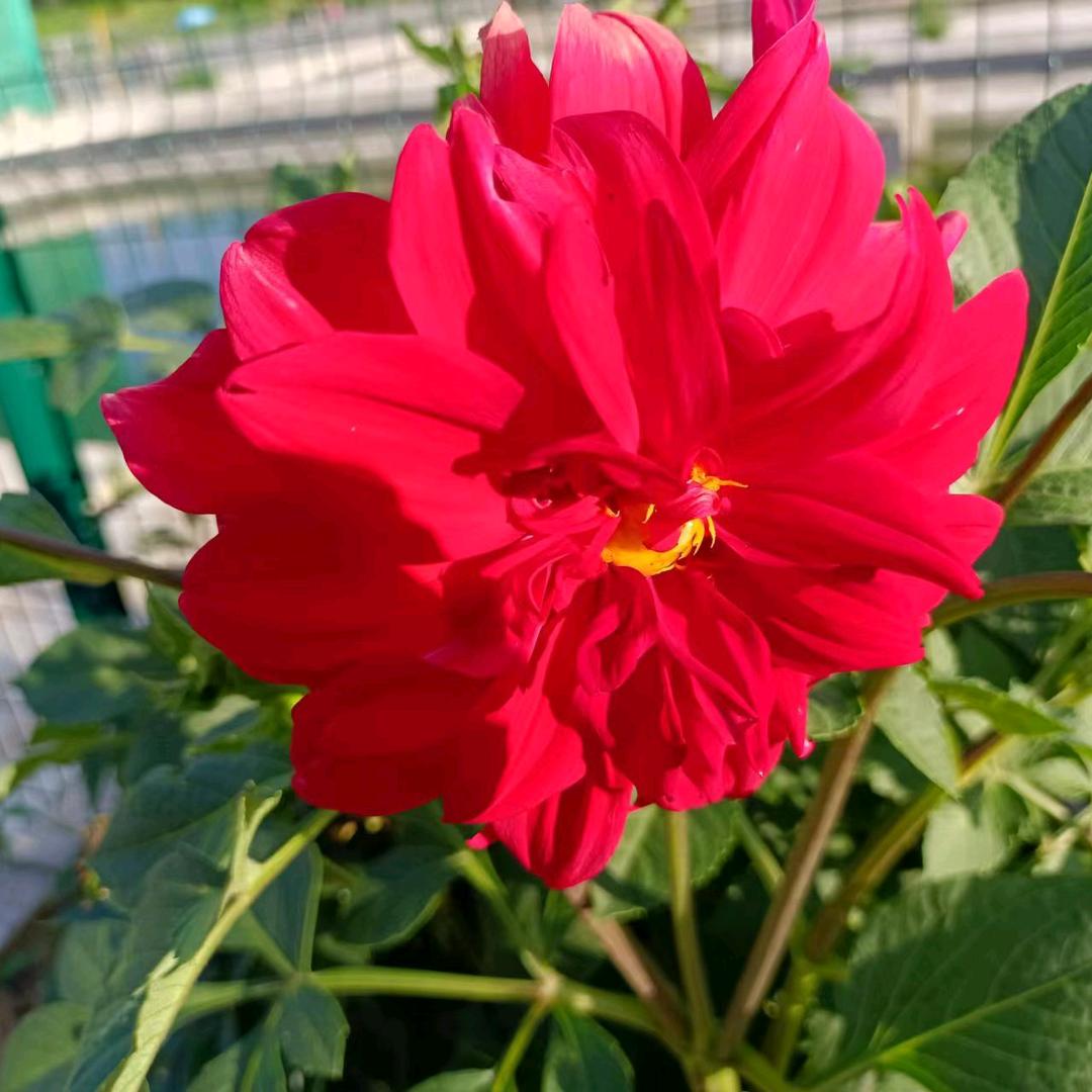 开心每一天888