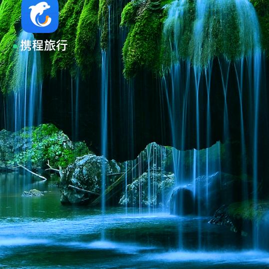 天涯何处无芳草