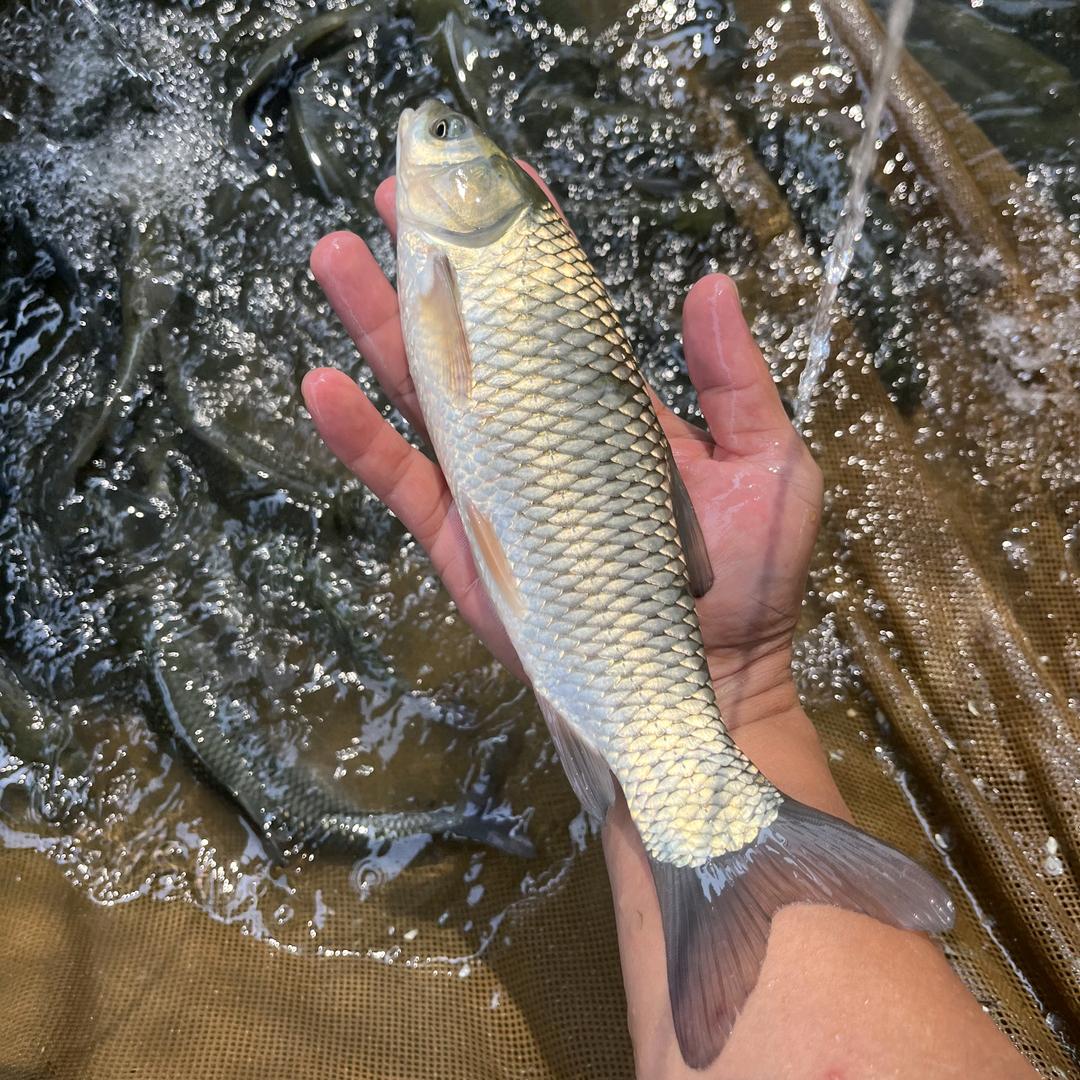 渔乐欢水产养殖