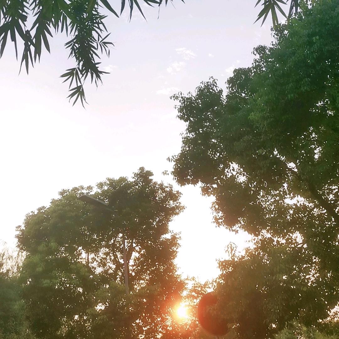 ℳঞ ꦿ逝去的青春  ໌້ᮨ꧔