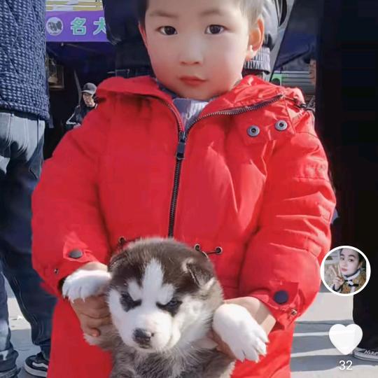 杨你一辈子Σ( ° △ °|