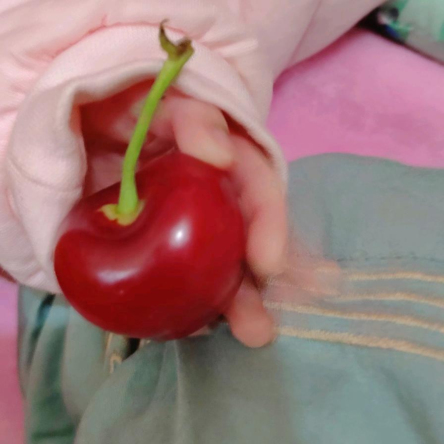 想去码头整点薯条