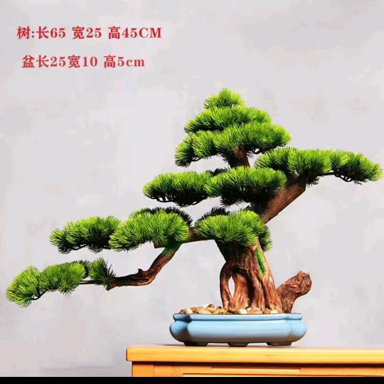 古城李（合肥市花卉绿植基地直销批发零售）