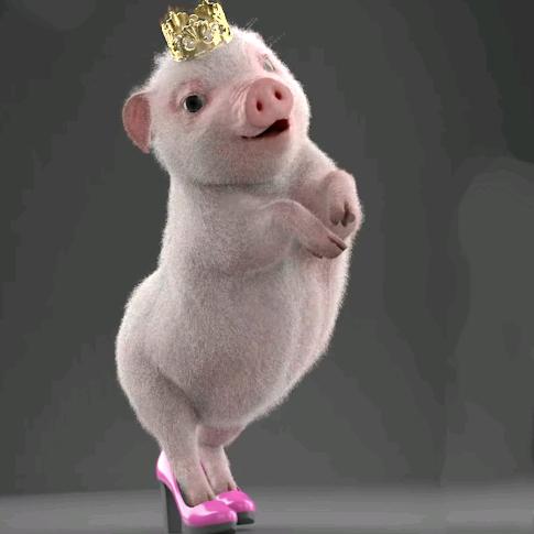 🐷拽拽空心猪🐷