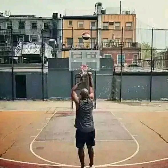 北美球场🏀
