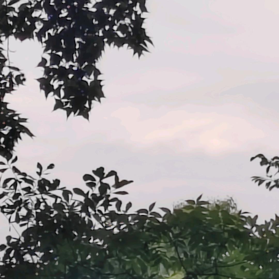 青春的痕迹头像