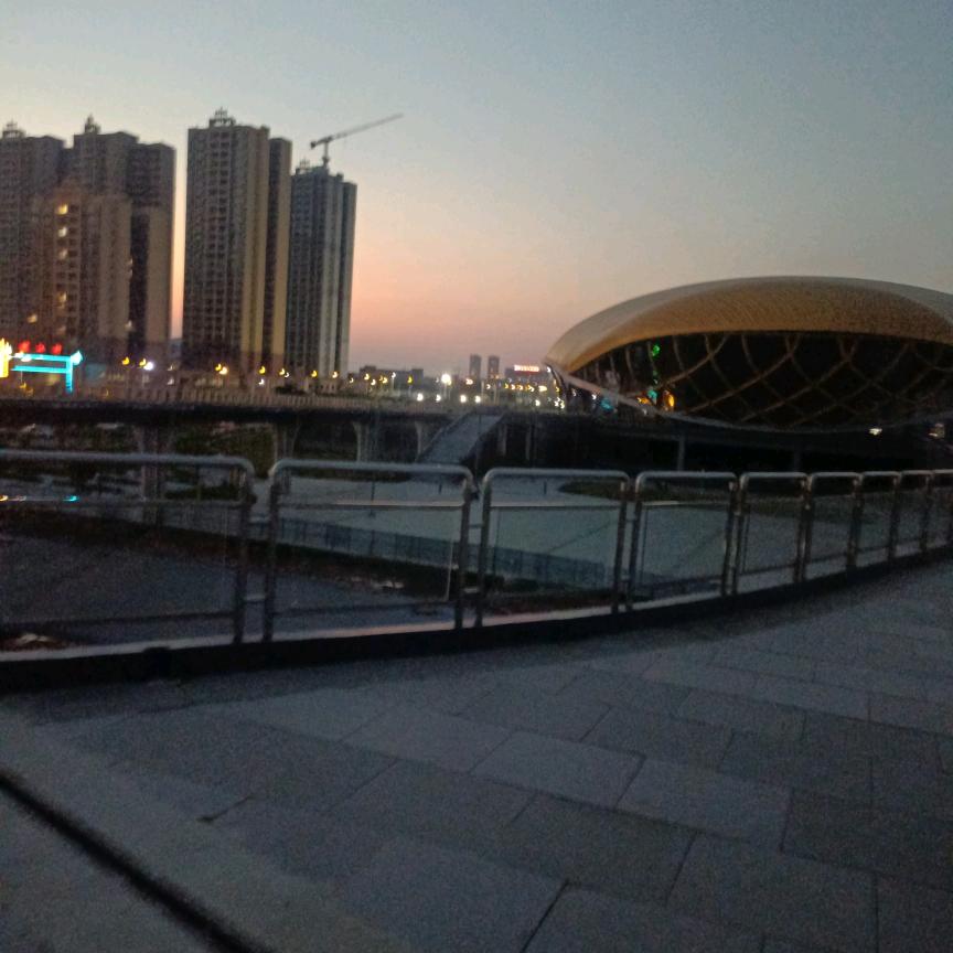 宝哥