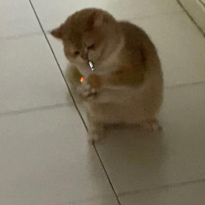 ❉