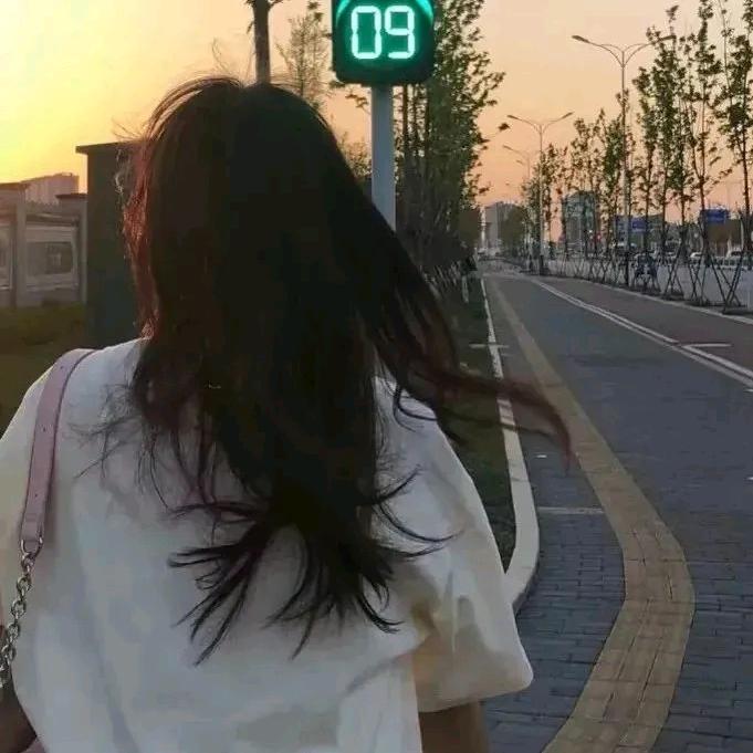 木槿