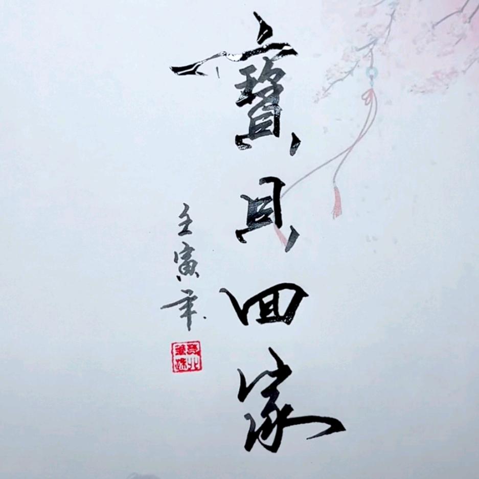 宝贝回家吧