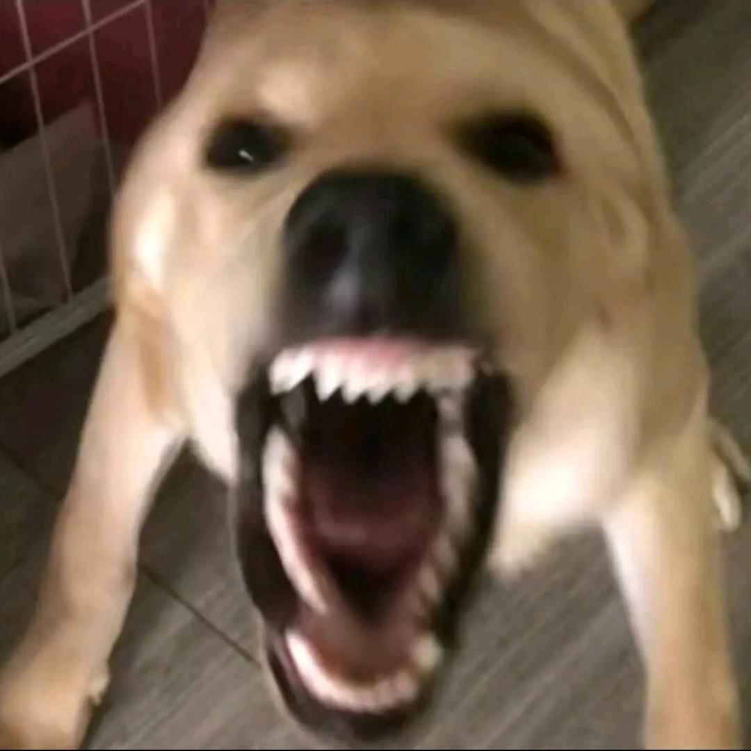吐司基