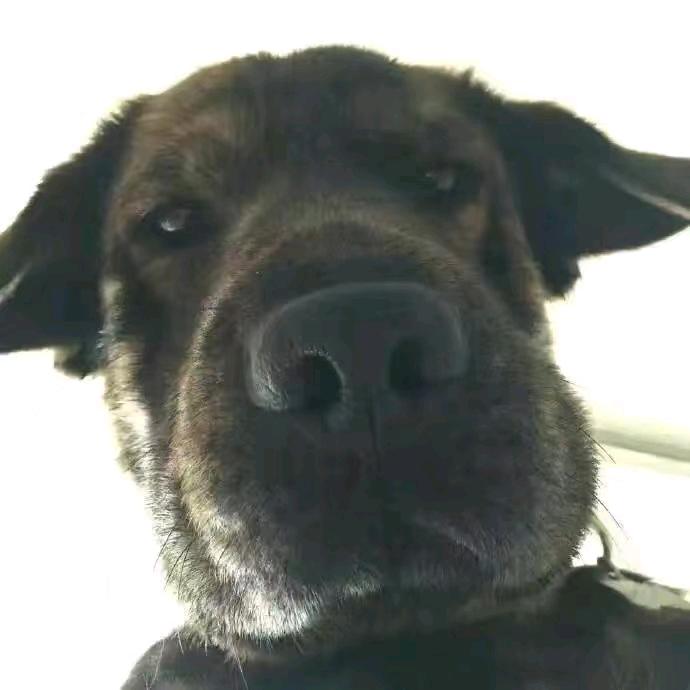 🌈独行者