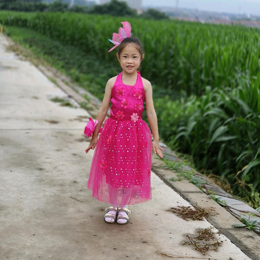 文理（文采飞扬）