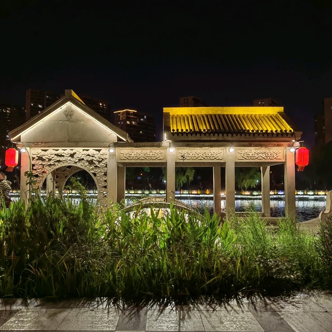 梧桐影