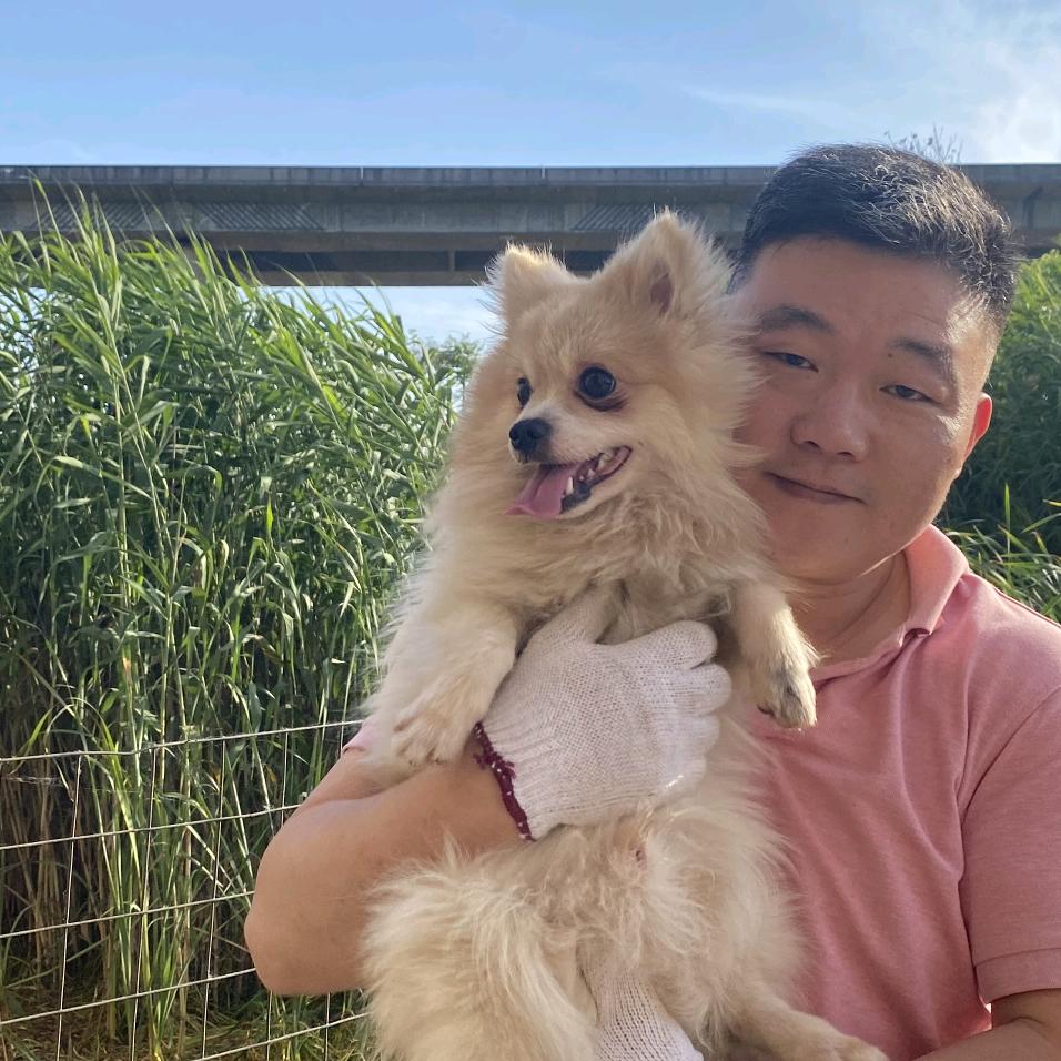 狗爸爸