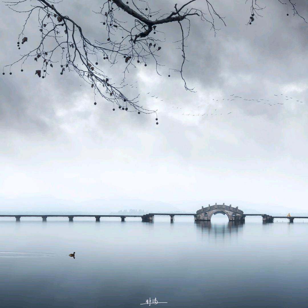 ༄༊🐇清风🐳ღ᭄ꦿ