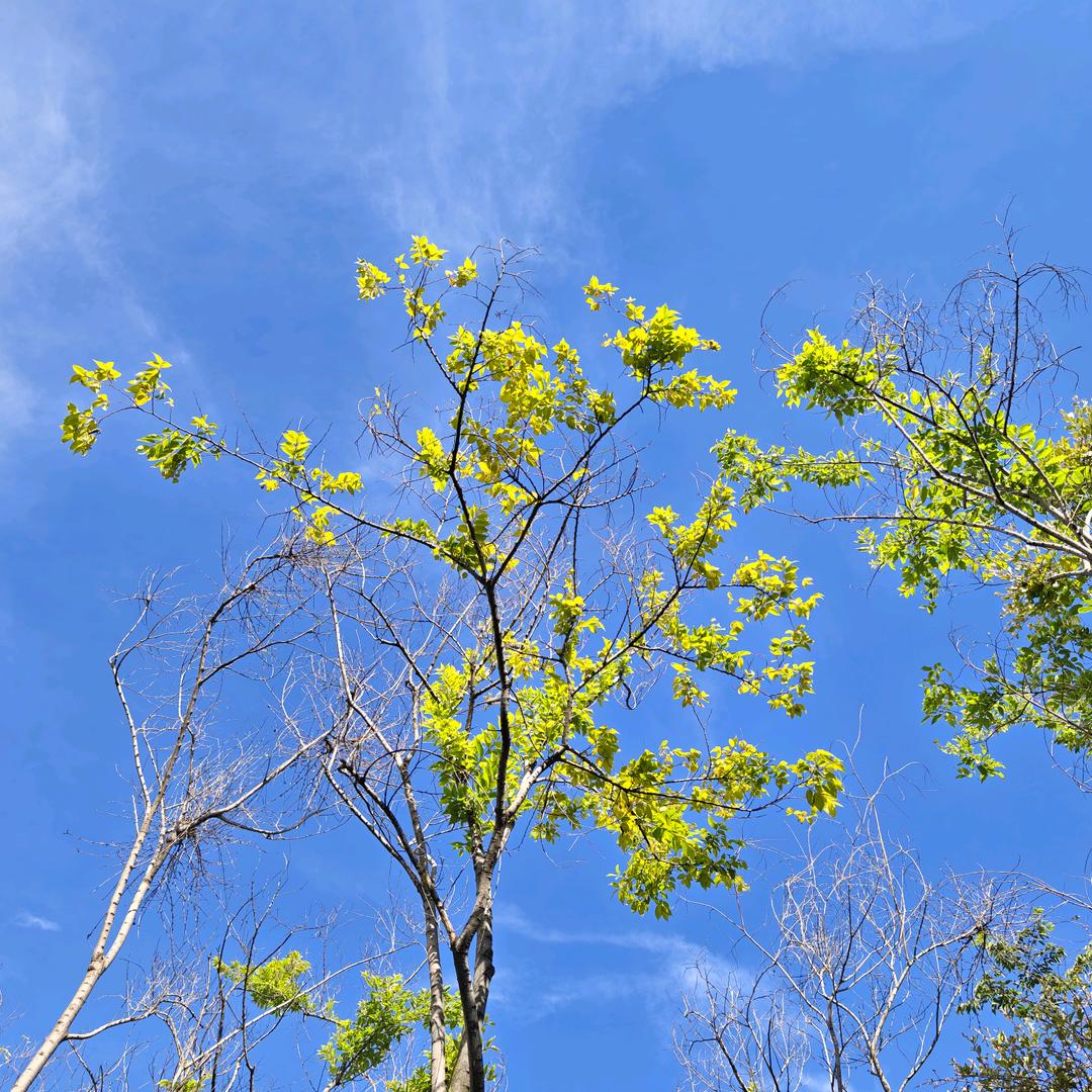 好运连连うんぅㄹ효ㅛ보ㅠㅜ摘瓜圣手就是我