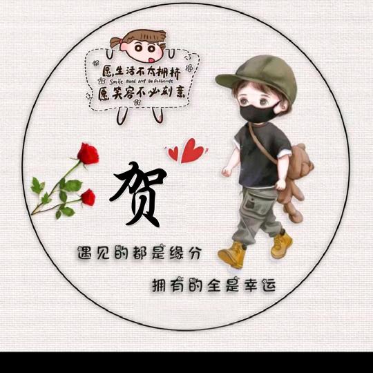 我姓贺╭(╯却呵护不了你ε╰)╮