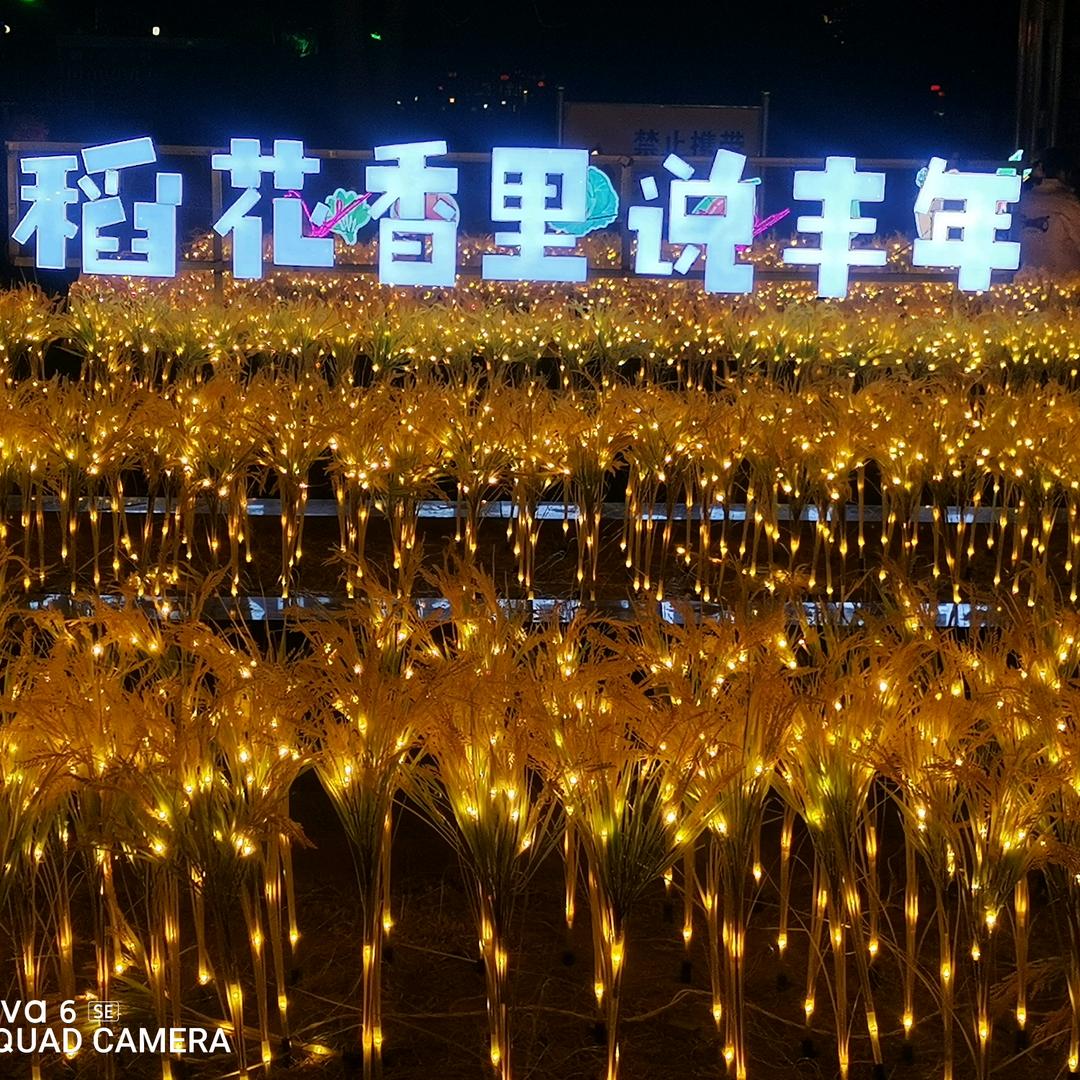 博予机械：郑建波