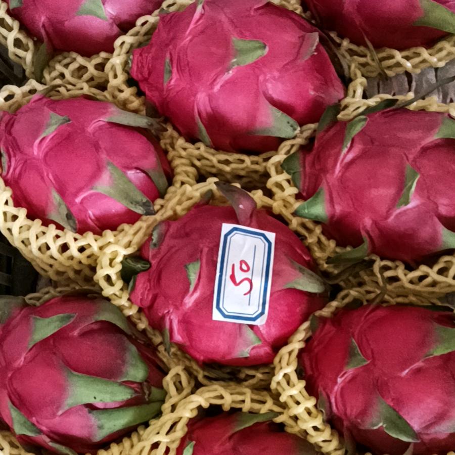 有缘再见